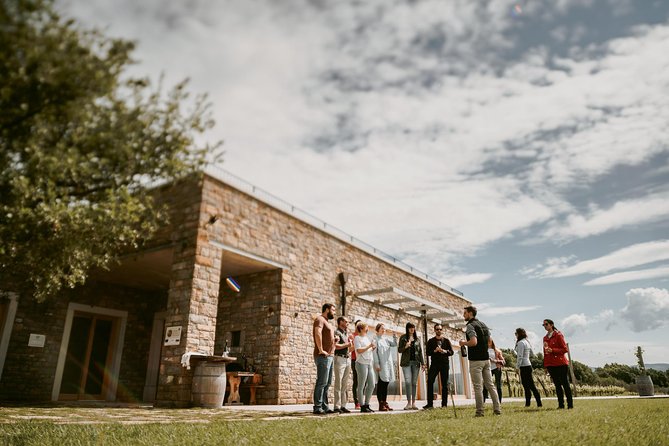 Wine Tours in Slovenia - Sommelier-Led Tastings and Discussions