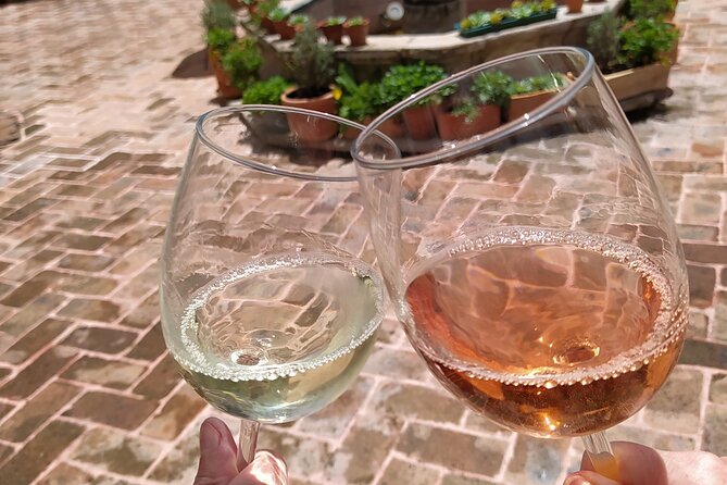 Wine Tours in the Heart of Mexico - Verified Reviews and Ratings