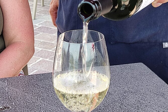 Wine Tours in the Heart of Mexico - Frequently Asked Questions