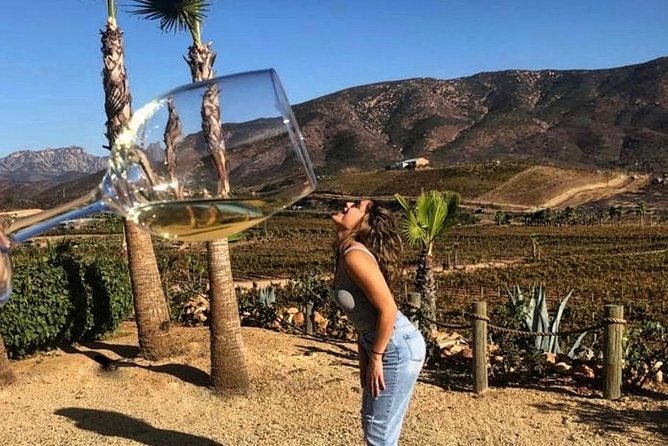 Wine Tours Valle De Guadalupe/Celebrate Your Birthday/Farewell - Pricing and Inclusions