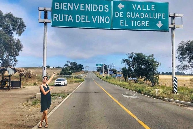 Wine Tours Valle De Guadalupe/Celebrate Your Birthday/Farewell - Transportation and Pickup