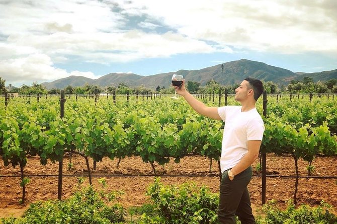 Wine Tours Valle De Guadalupe/Celebrate Your Birthday/Farewell - Itinerary and Timing