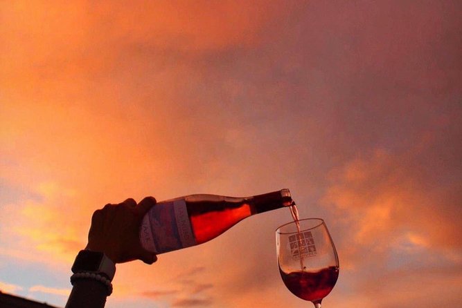 Wine Tours Valle De Guadalupe/Celebrate Your Birthday/Farewell - Celebration Events