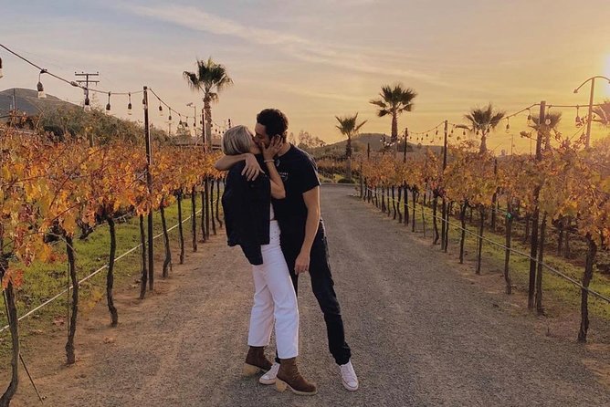 Wine Tours Valle De Guadalupe/Celebrate Your Birthday/Farewell - Reviews and Ratings