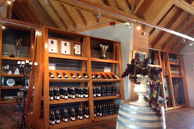 Wine Trail and Christchurch City Day Tour - Luxury Mini-Van Transportation