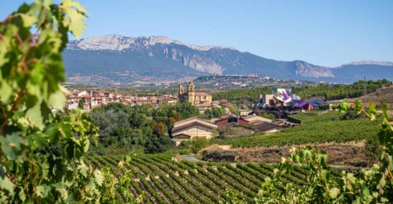 Wine Trails & Medieval Tales: Bilbao's Heartland Tour - Discovering Laguardia Town