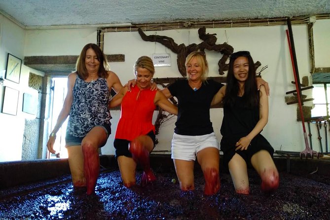 Wine Venture and Boat Trip in Douro Valley From Porto - Boat Trip on Douro River