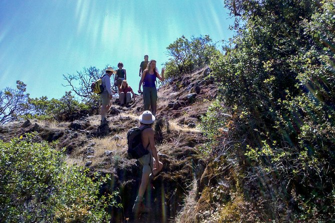 Wine & Wellness Tour in Napa Valley - Tour Requirements