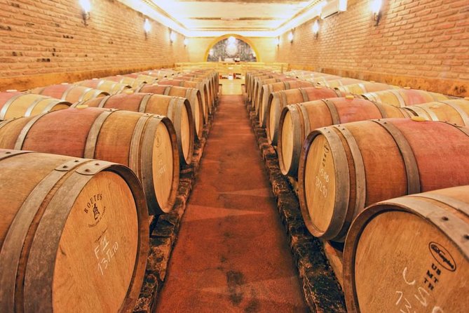 WINE WORLD EXPERIENCE From Albufeira - Safety Considerations
