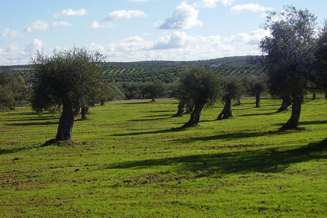 WINE WORLD EXPERIENCE From Albufeira - Booking and Cancellation