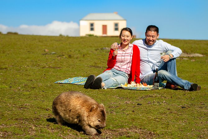 Wineglass Bay And Maria Island Wildlife Scenic Flight From Hobart - Itinerary Highlights