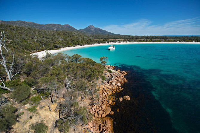 Wineglass Bay Cruise From Coles Bay - Additional Information