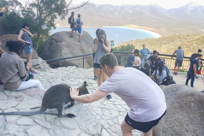 Wineglass Bay & Freycinet National Park Day Trip From Hobart - Frequently Asked Questions