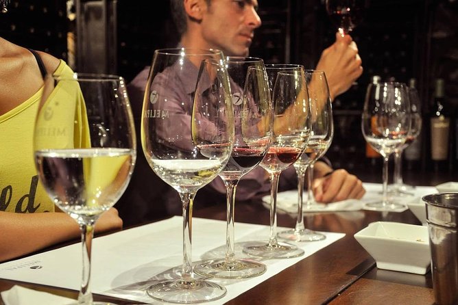 Winemaker for a Day. Learn How to Make Your Own Wine - Crafting Your Personalized Wine