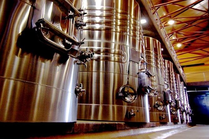 Winemaker for a Day. Learn How to Make Your Own Wine - Indulge in Gourmet Wine Pairing