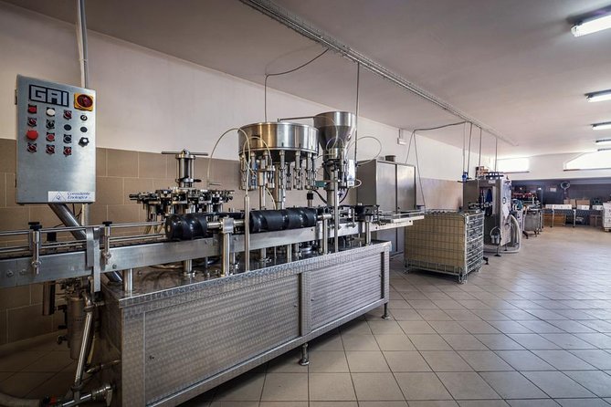 Winemaker for a Day: Tour an Organic Winery - Winemaking Process Unveiled