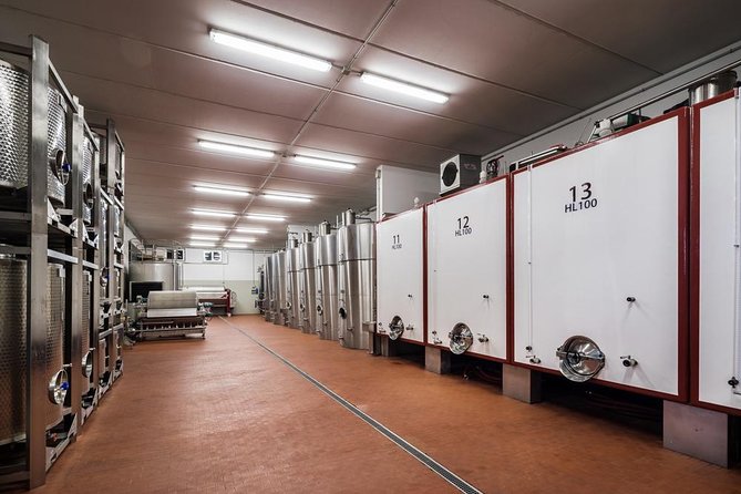 Winemaker for a Day: Tour an Organic Winery - Explore the Vineyards and Olive Groves