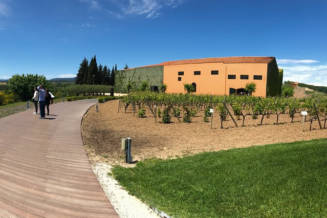 Wineries Art & Tapas Experience - Private Tour - Tapas and Wine Tastings