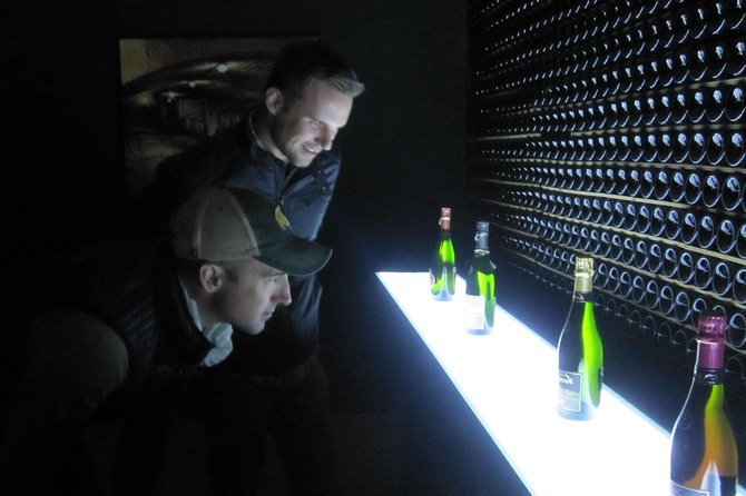 Wineries Art & Tapas Experience - Private Tour - Reviews and Ratings