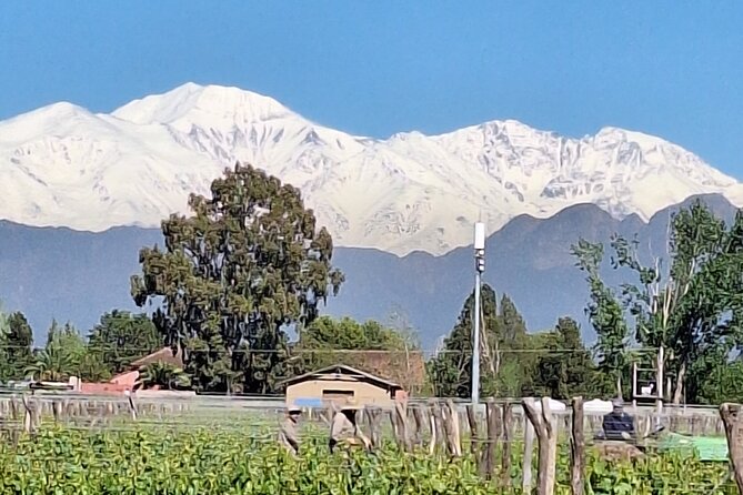 WINERIES DAY in Lujan and Maipú Zone With PRIVATE DRIVER - Key Points