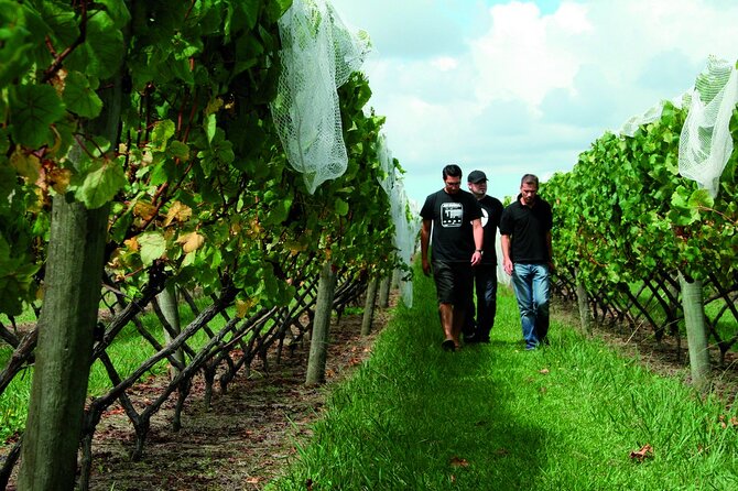 Wineries Honey and Black Sand Beaches From Auckland - Customer Feedback