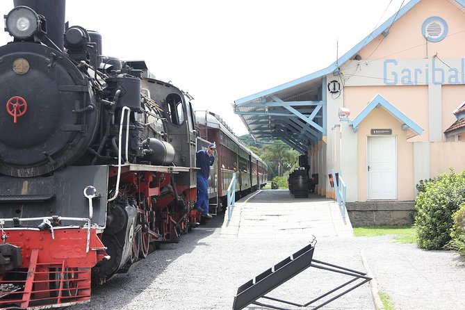 Wineries of the South, Maria Fumaça Train and Italian Epic Park - Cultural Immersion