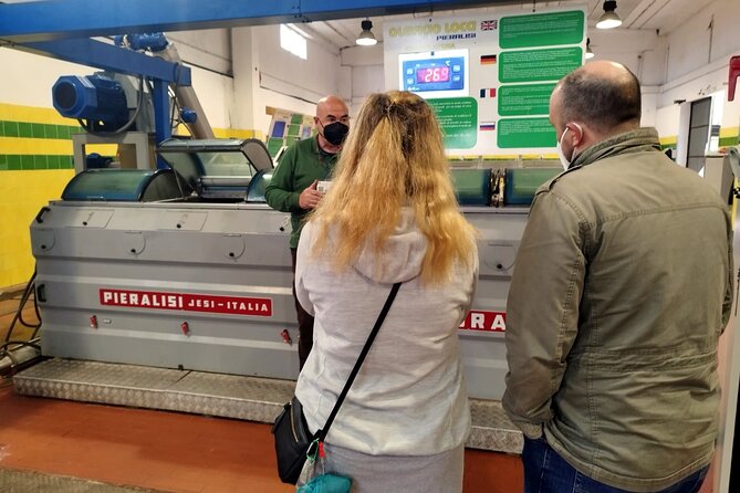 Winery And Oil Mill Tasting Tour - Pickup and Transportation