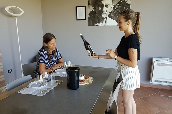 Winery And Oil Mill Tasting Tour - Traveler Experiences