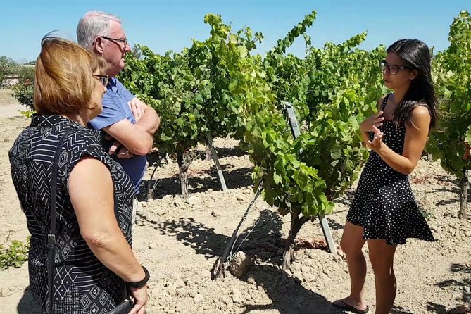 Winery And Oil Mill Tasting Tour - Local Wines and Olive Oils