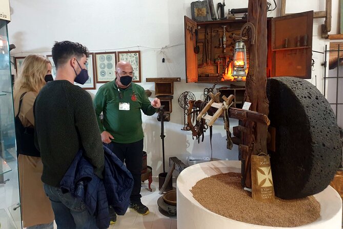 Winery And Oil Mill Tasting Tour - What to Expect