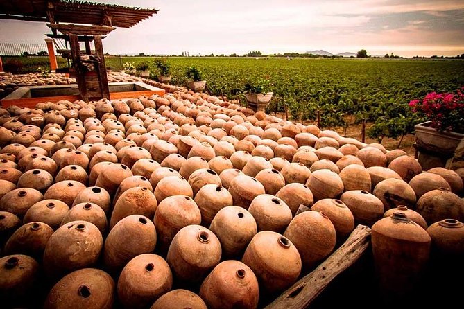Winery and Pisco Distillery Tour - Guest Reviews