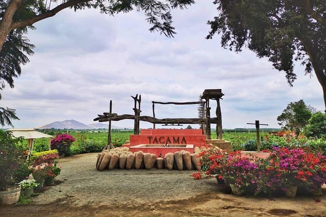 Winery and Pisco Distillery Tour - Winery Highlights