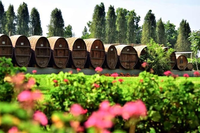 Winery and Pisco Distillery Tour - Tasting Experiences