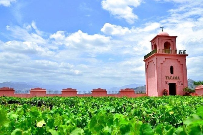 Winery and Pisco Tour in Ica - Key Points