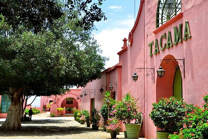 Winery and Pisco Tour in Ica - Tasting Piscos, Wines, and Cachinas