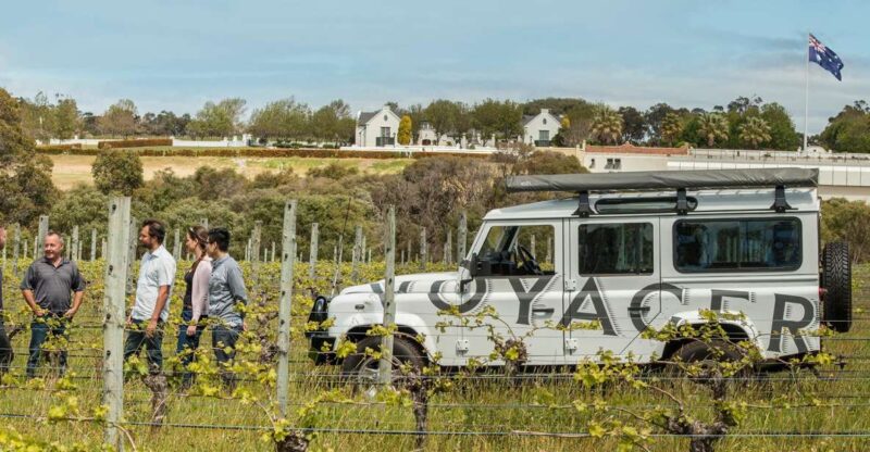 Winery Estate Tour & Wine-Paired Lunch - Guided Vineyard Tour
