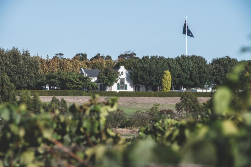 Winery Estate Tour & Wine-Paired Lunch - Organic Farming Insights