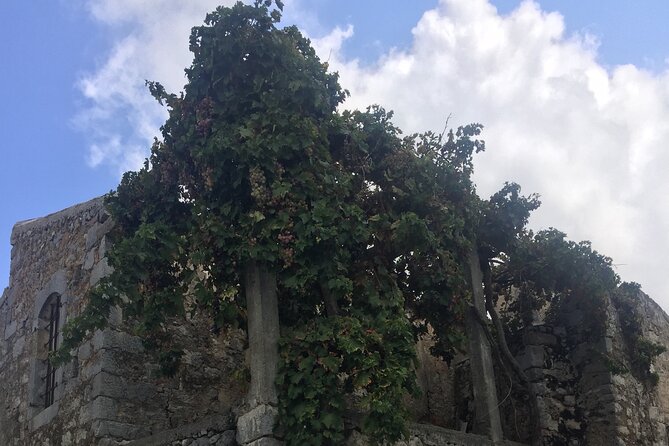 Winery - Olive Oil Factory-Old Traditional Villages . - Traditional Village Exploration