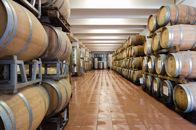 Winery Tour and Organic Wine Tasting in Trentino - Exploring the Winerys History