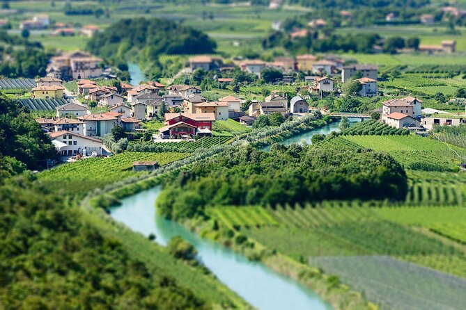 Winery Tour and Organic Wine Tasting in Trentino - Navigating the Meeting Point and Logistics