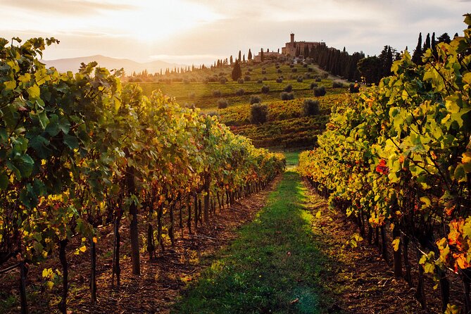 Winery Tour and Tasting - Transportation Details