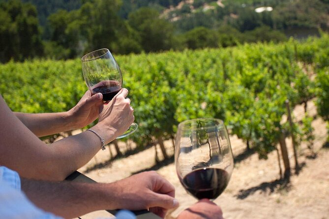 Winery Tour and Tasting - Experience Highlights