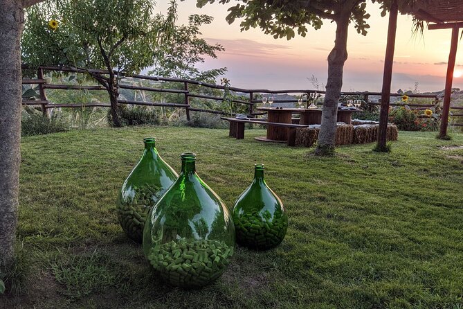 Winery Tour and Tasting at Sunset in the Countryside From Tropea - Meeting and Location Details