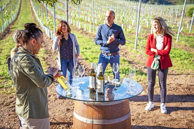 Winery Tour and Tasting at the Galician Estate - About Your Stay