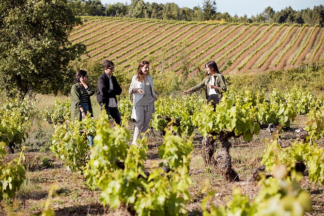 Winery Tour and Tasting at the Galician Estate - Inclusions and Exclusions