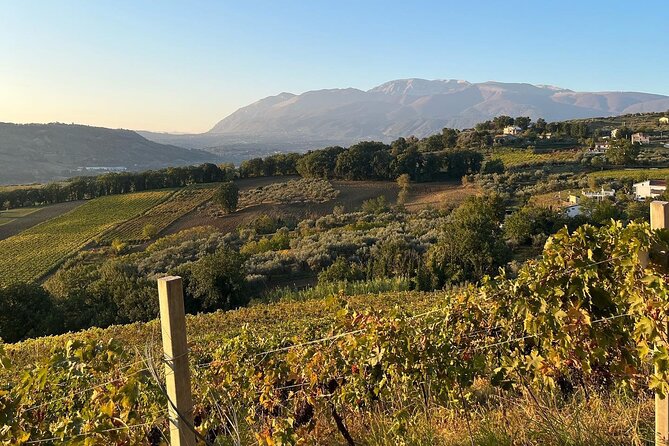 Winery Tour and Tasting in Abruzzo - Intimate Tour Group Experience