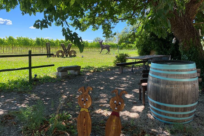 Winery Tour and Tasting in Grado - Accessibility and Participation