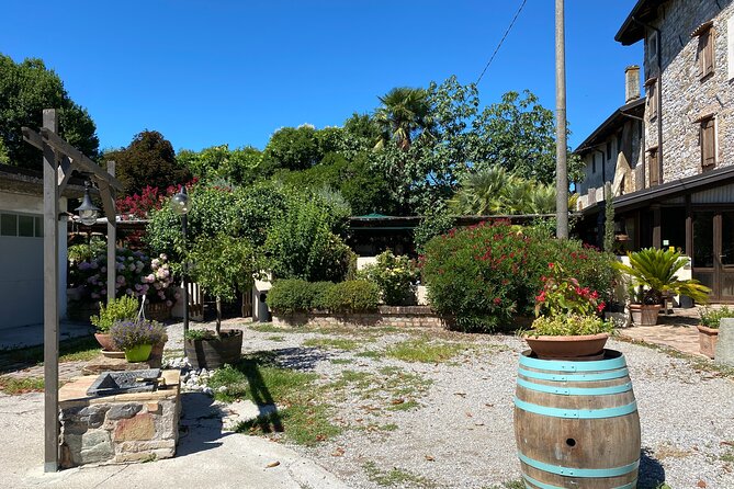 Winery Tour and Tasting in Grado - Exploring Grado and Aquileia