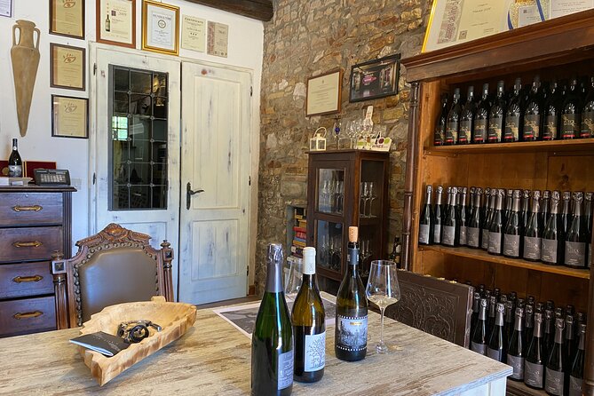 Winery Tour and Tasting in Grado - Tasting Authentic Friulian Wines