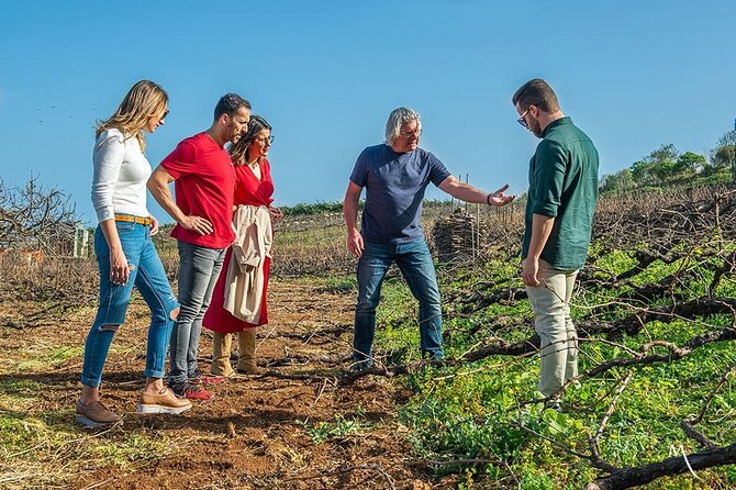 Winery Tour and Tasting in Tenerife With the Sommelier - Highlights of the Winery Tour